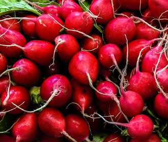 radishes